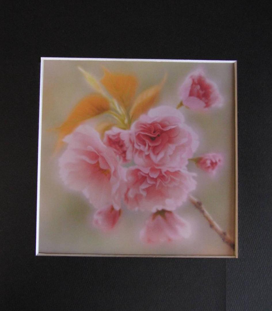 山地司、【八重桜　関山1】、希少な額装用画集より、状態良好、新品額装付