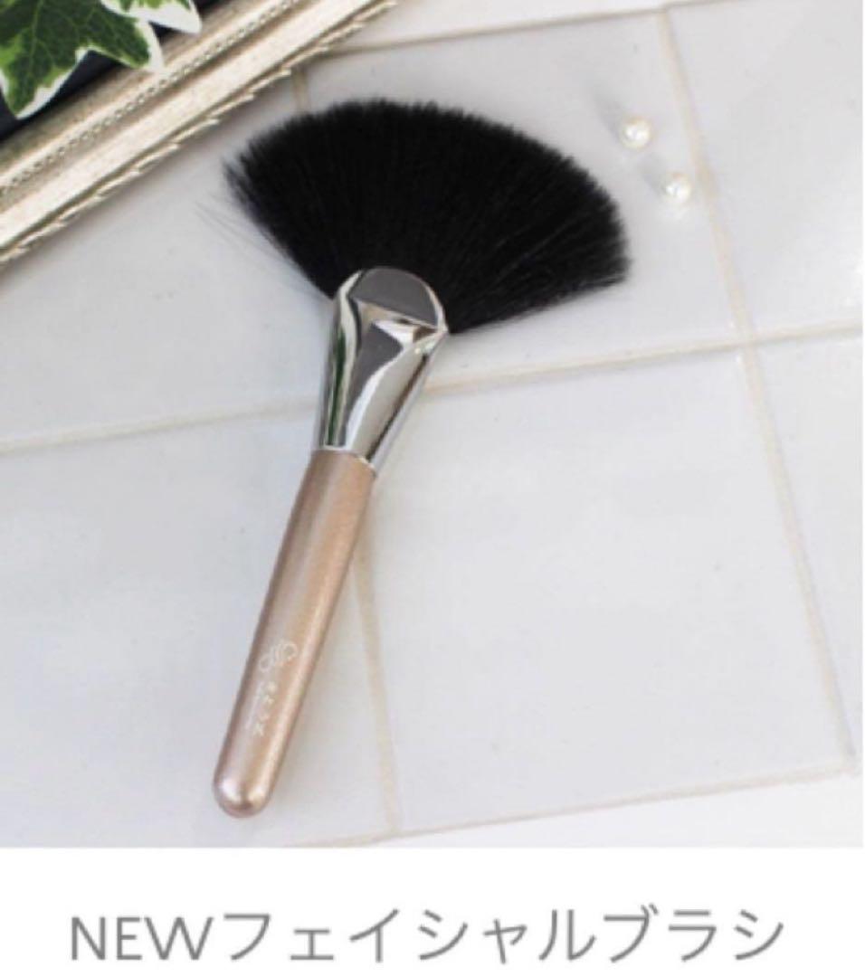 フェイシャルブラシ　さとう式