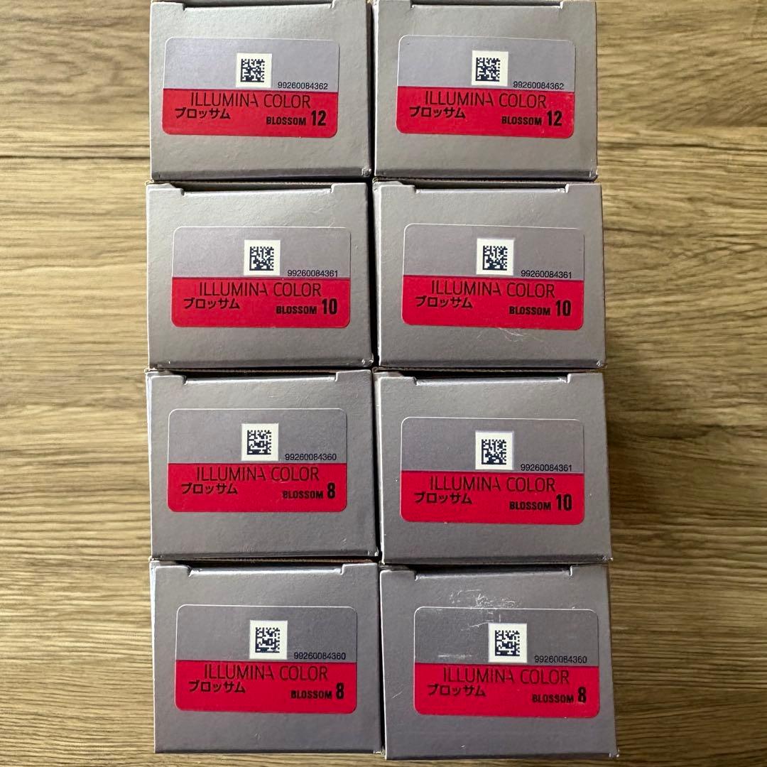 イルミナカラー　ブロッサム　8本セット