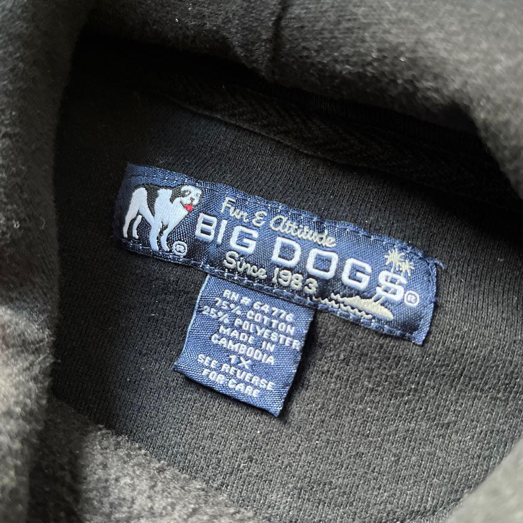 2026年最新ファイヤーパターン 00s Bigdogs パーカー フレイム