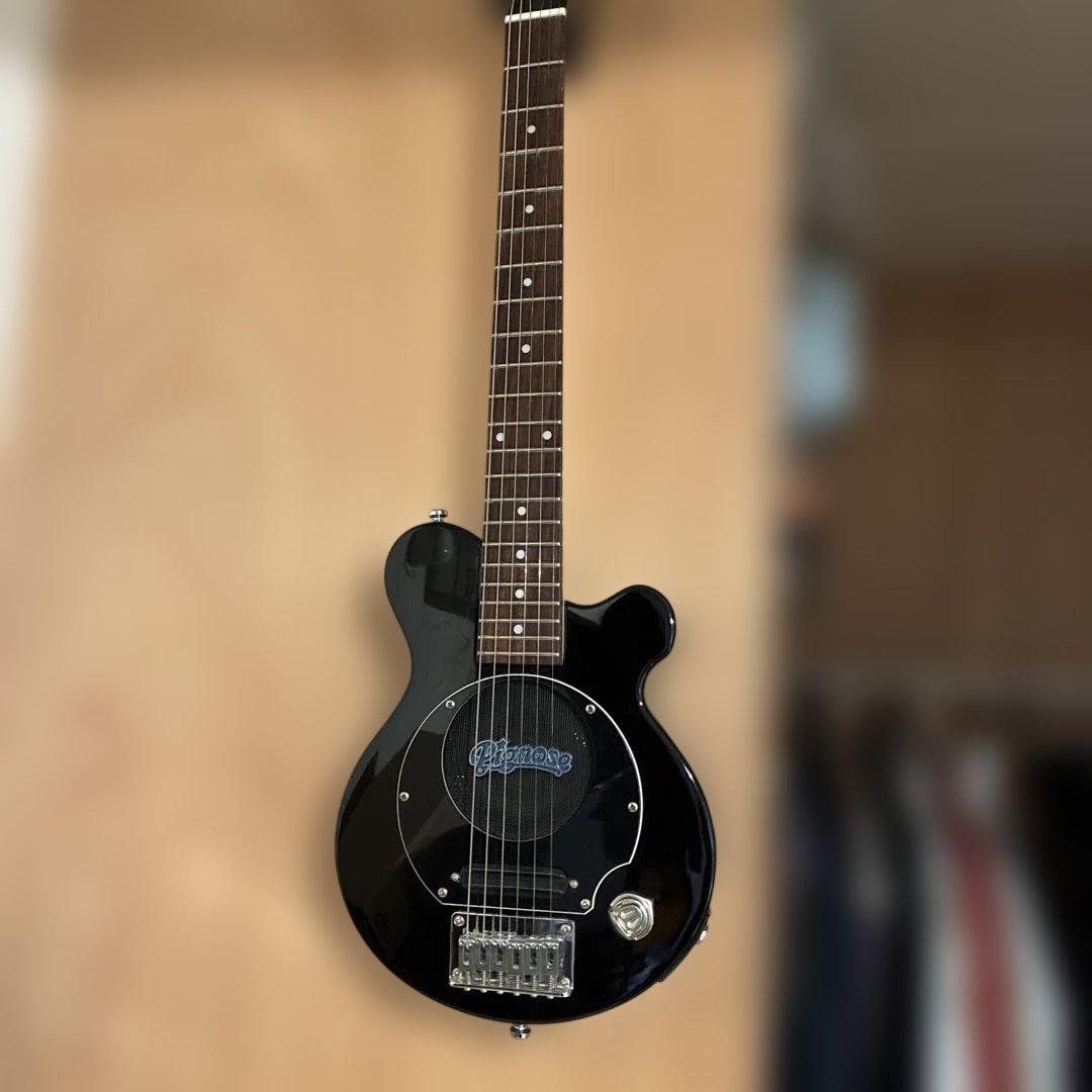 ピグノーズPGG200 ブラック