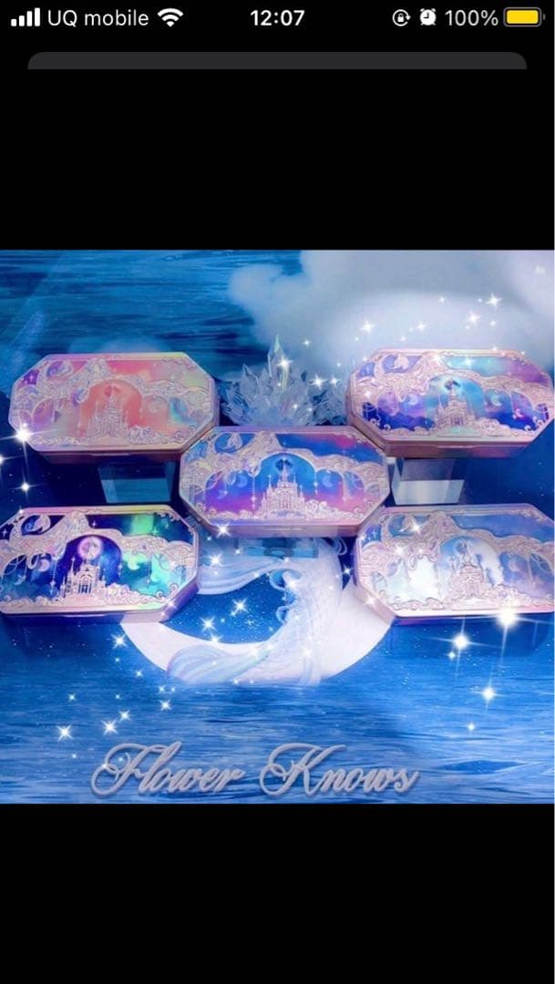 【新品】ゴンチャロフ　フラワーノーズ　全5種　コンプリートセット　専用紙袋つき