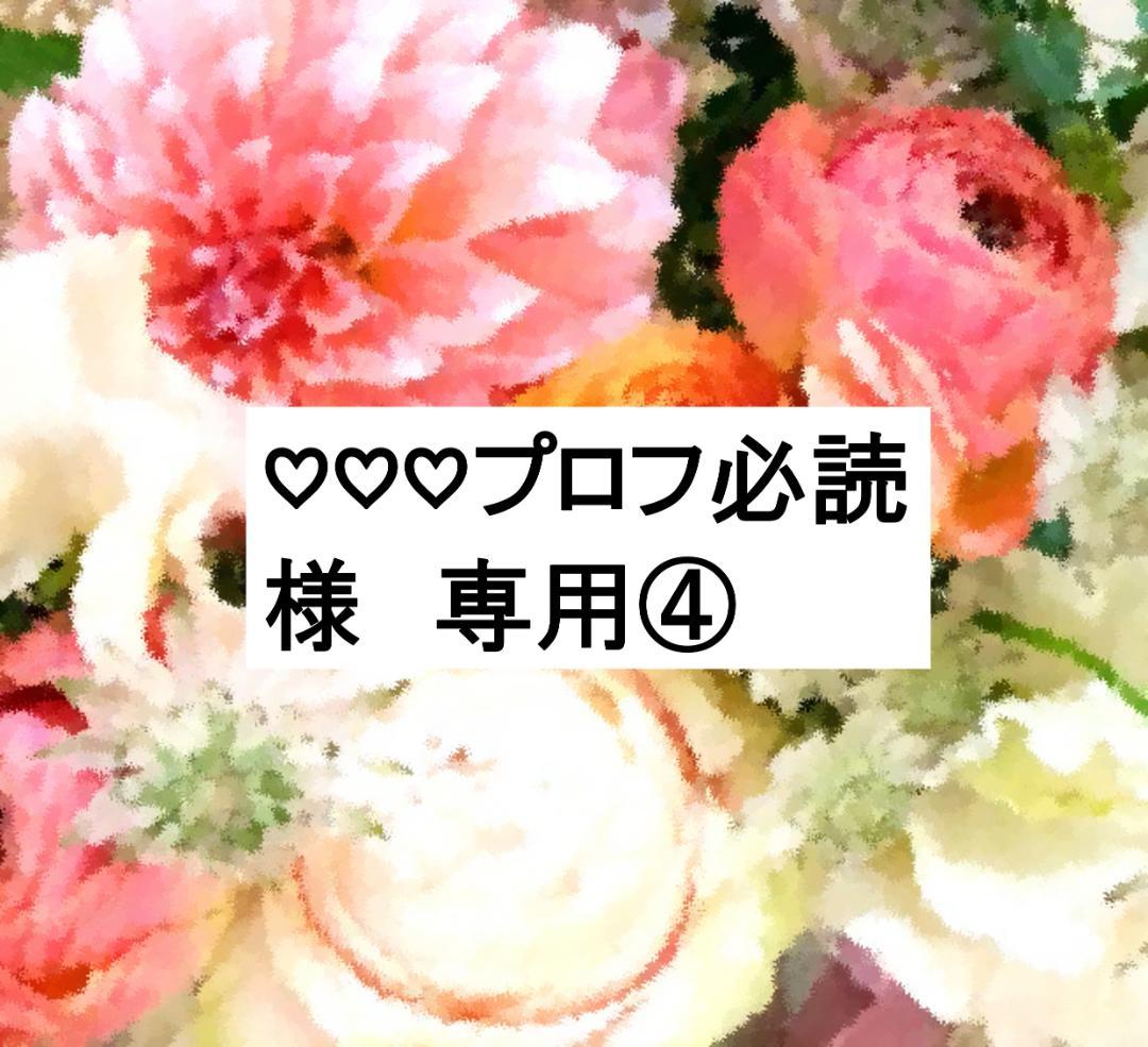 ♡♡♡プロフ必読④ ディスク全未開封 2023年 最新版フルセット DWE