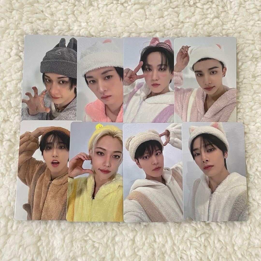 straykids トレカ タワレコ特典 Hollow SKZOO