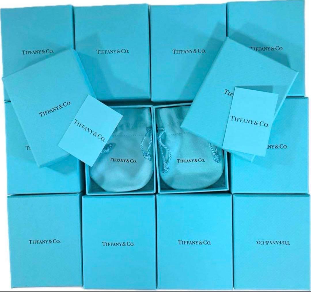 現行品　Tiffanyティファニー　空箱　巾着　取扱説明書　13