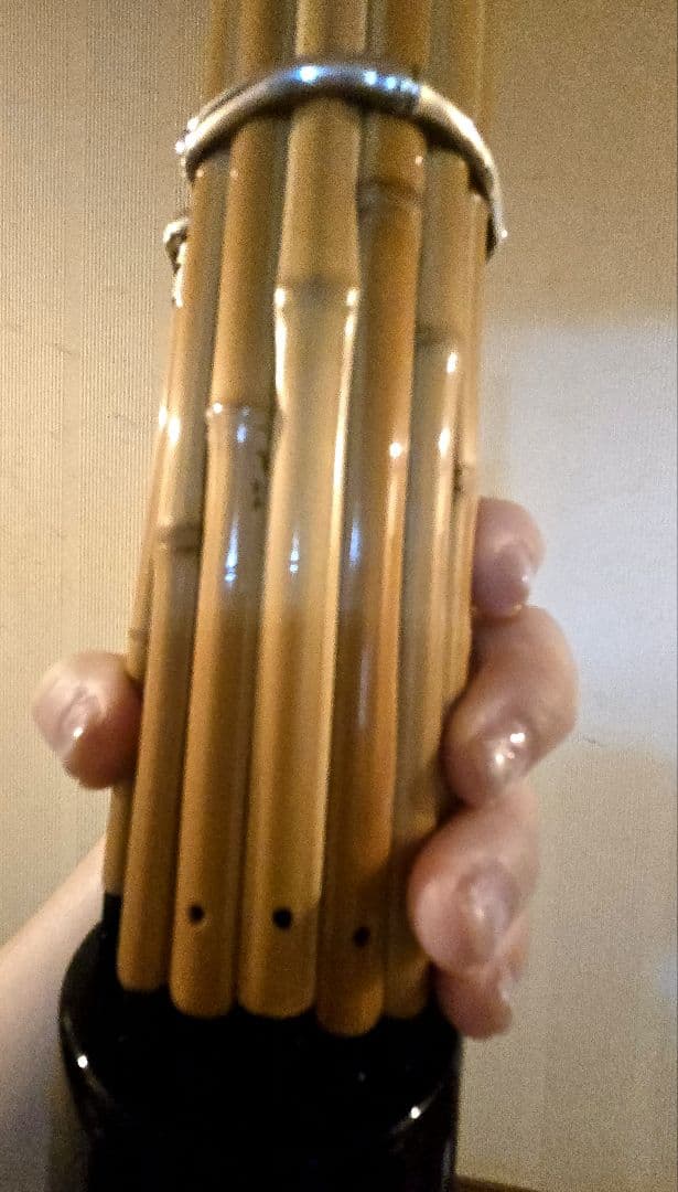 早い者勝ち★6/10まで値下しています。白竹、2024年購入 美品（鳴ります）