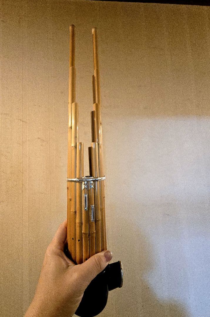 早い者勝ち★6/10まで値下しています。白竹、2024年購入 美品（鳴ります）