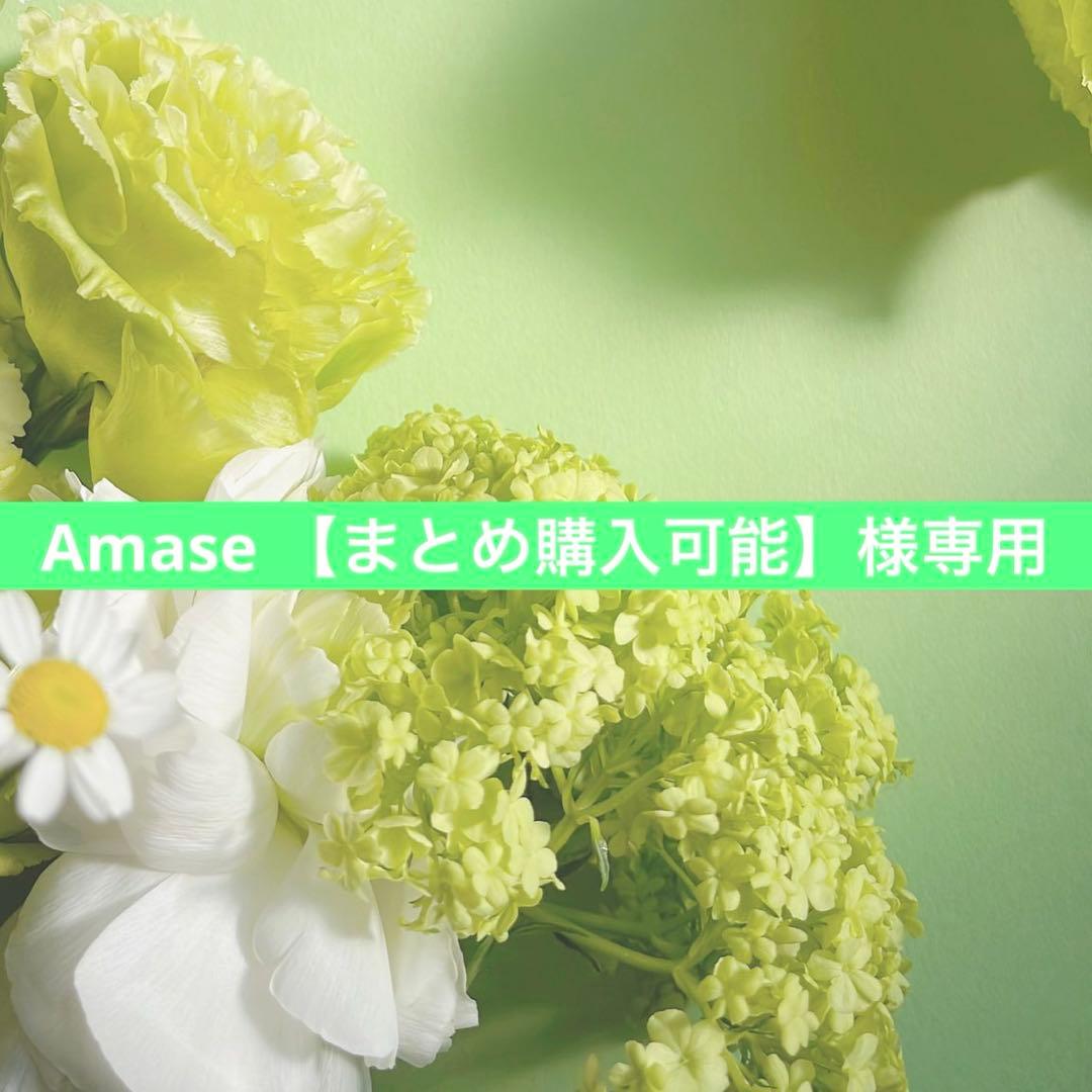 Amase 【まとめ購入可能】 チャームセットメッシュトートバッグ｜WOMEN｜250ISB55-127J｜AZUL BY