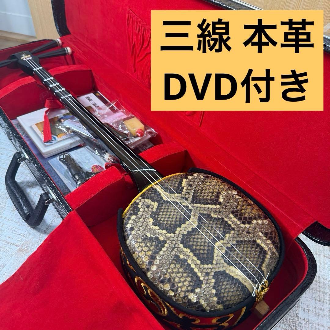 三線 本皮 本革 蛇皮 蛇革 三味線 琉球 沖縄　付属品多数