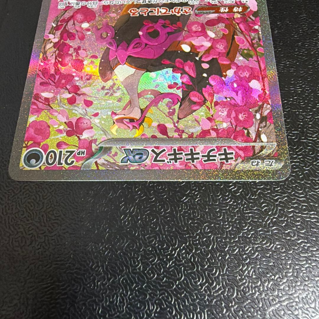 キチキギスex SAR - メルカリ