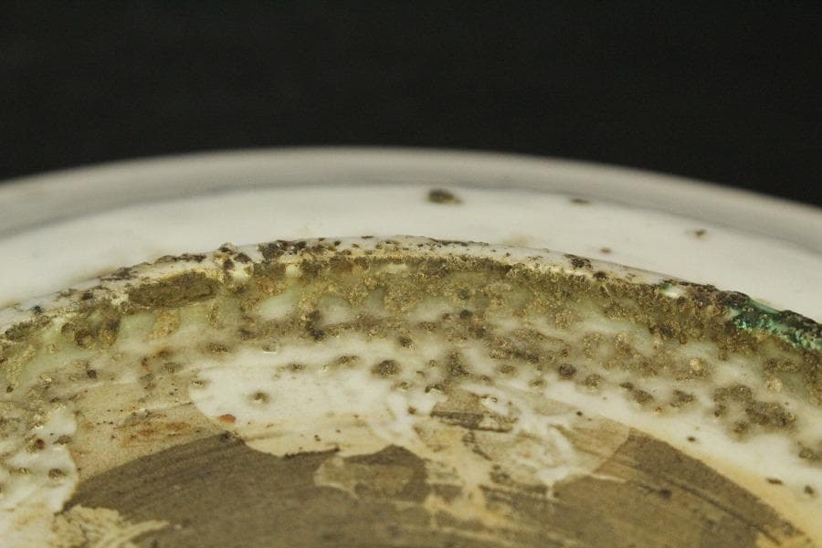 茶道具 唐物 呉須赤絵 鳳花紋 皿 φ25.5cm 中国美術(A928) - メルカリ