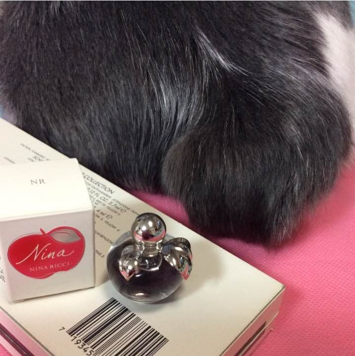 【お取り置き品】ニナリッチ ニナ ４ml Nina・ニナ - オードトワレ - Nina Ricci