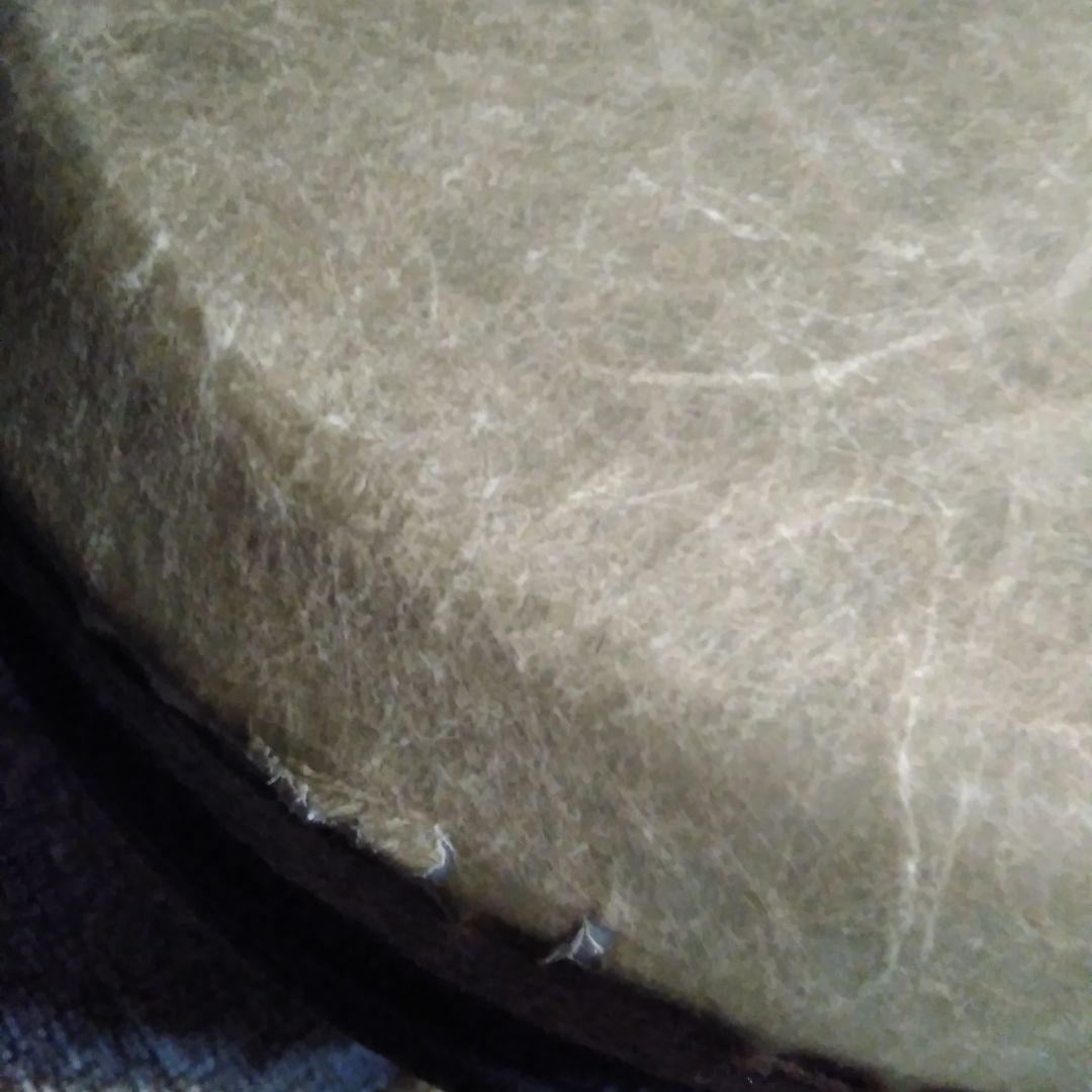 ジャンベ REMO レモ 打楽器 パカッション 化石柄