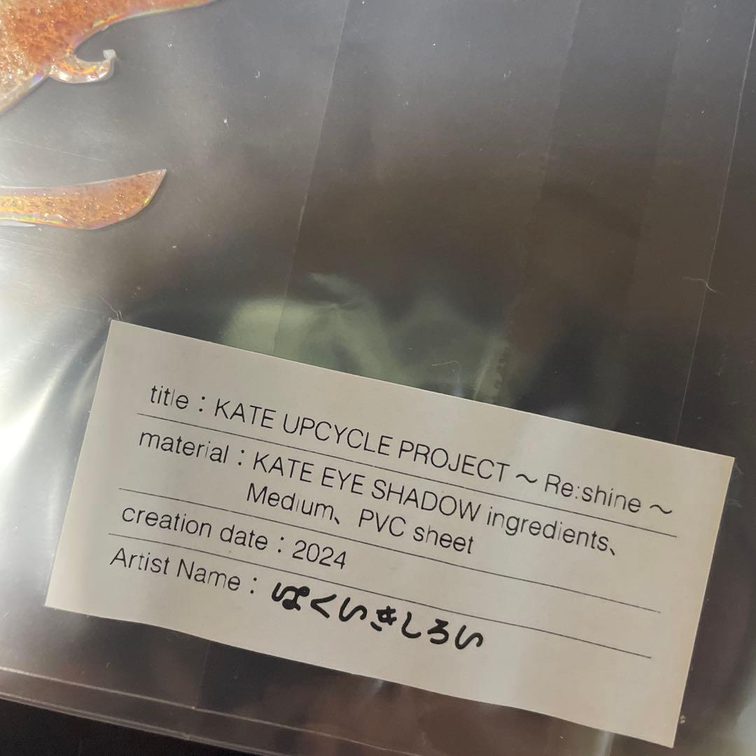 はくいきしろい × KATE 【アップサイクルプロジェクト 当選品