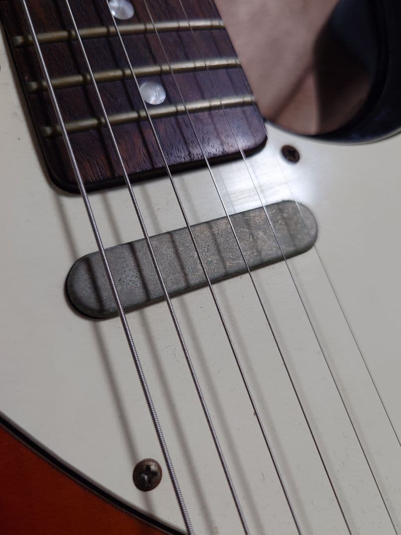 Bacchus 帯ロゴ テレキャスターシンライン - メルカリ