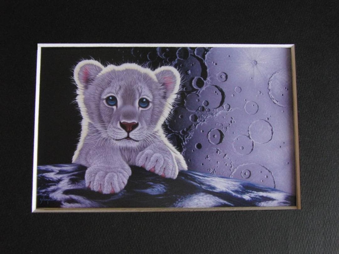 シム・シメール、【ムーンシャドウ】、希少な額装用画集より、状態良好