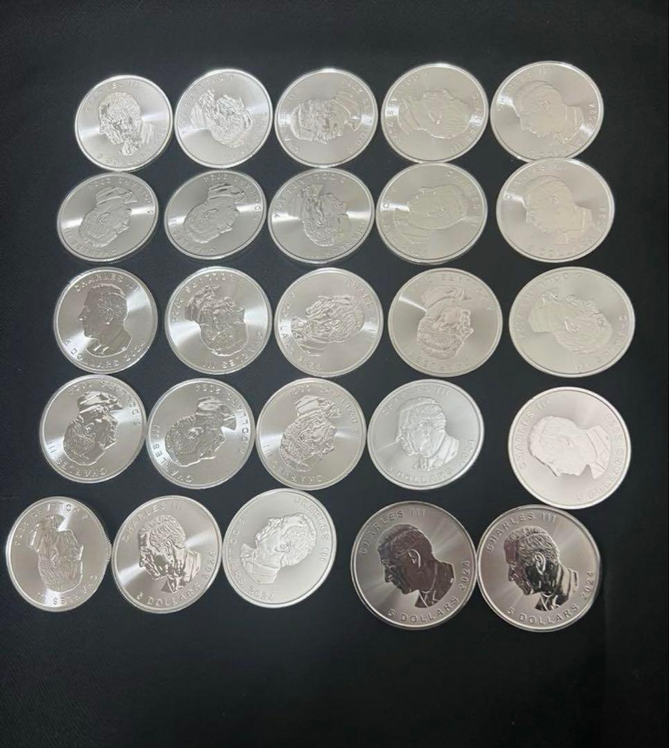 メイプルリーフhiroさん専用10枚① 焼き菓子 リーフパイ 10枚入 バター パイ カラメル スイーツ お菓子 焼