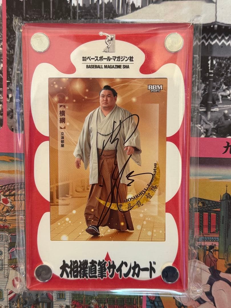 大相撲　豊昇龍　直筆サインカード