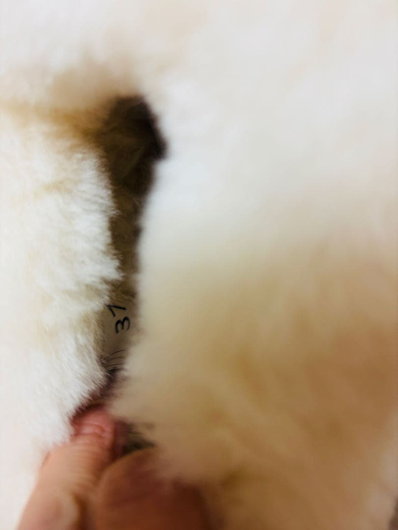 UGG 厚底23.5cm MUSTARD_SEED ムートンブーツ - メルカリ