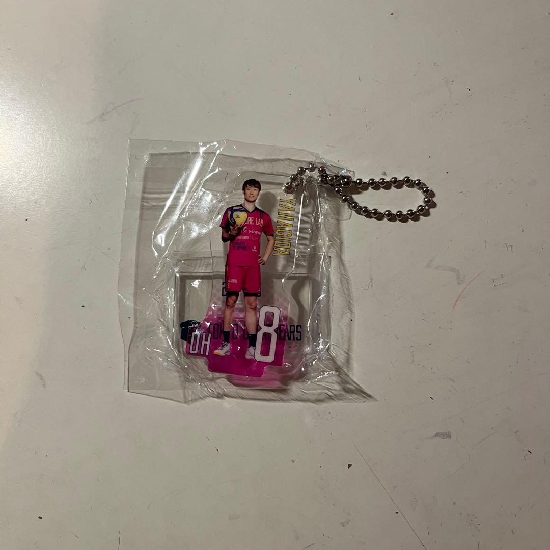 東京グレートベアーズ グレベア 柳田将洋 アクスタ - メルカリ