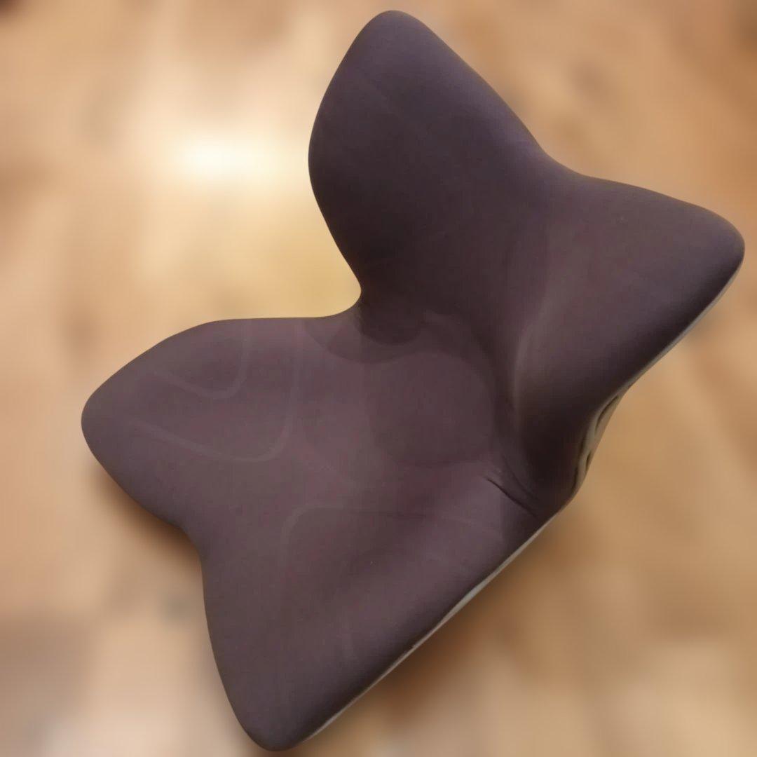 MTG STYLE PREMIUM 　スタイルプレミアム　骨盤サポート