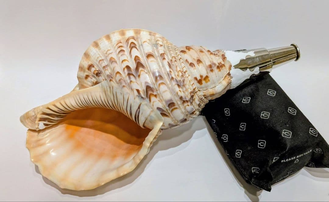 法螺貝　40.1cm 貝袋付き1339g 46000円　山伏　修験