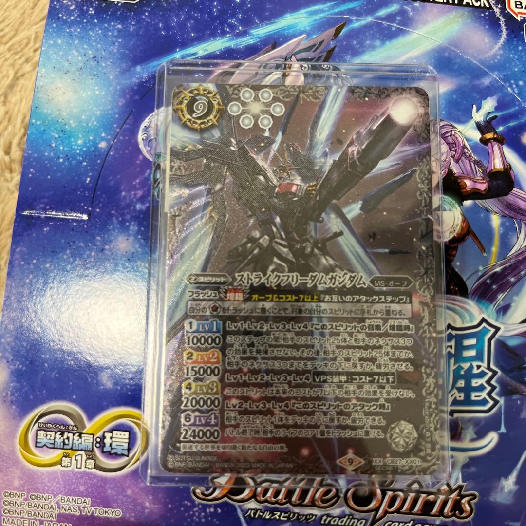 ストライクフリーダムガンダム　シークレット