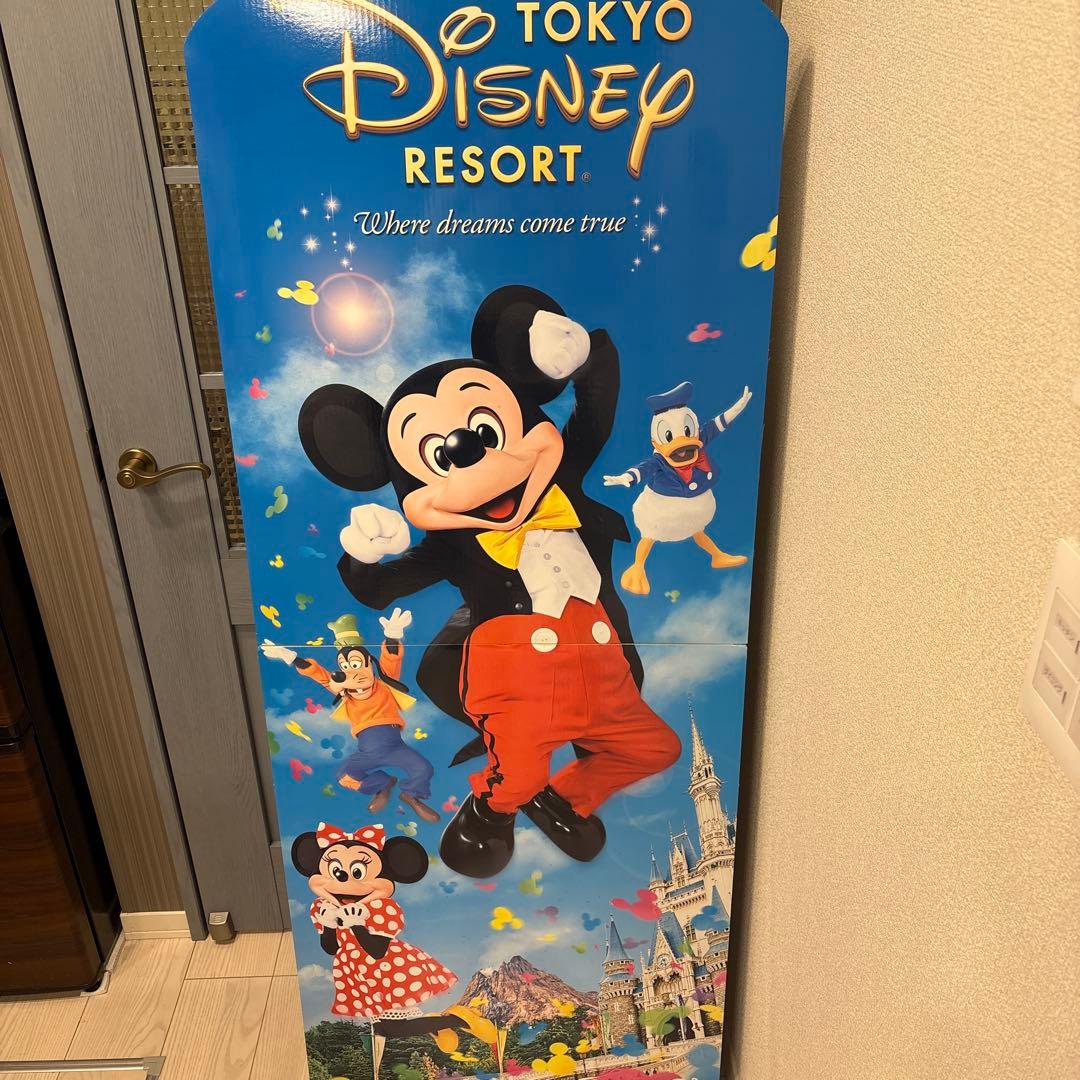 東京ディズニーリゾート　大型パネル 東京ディズニーランド、Imagining the Magic“魔法の瞬間”を映し出した