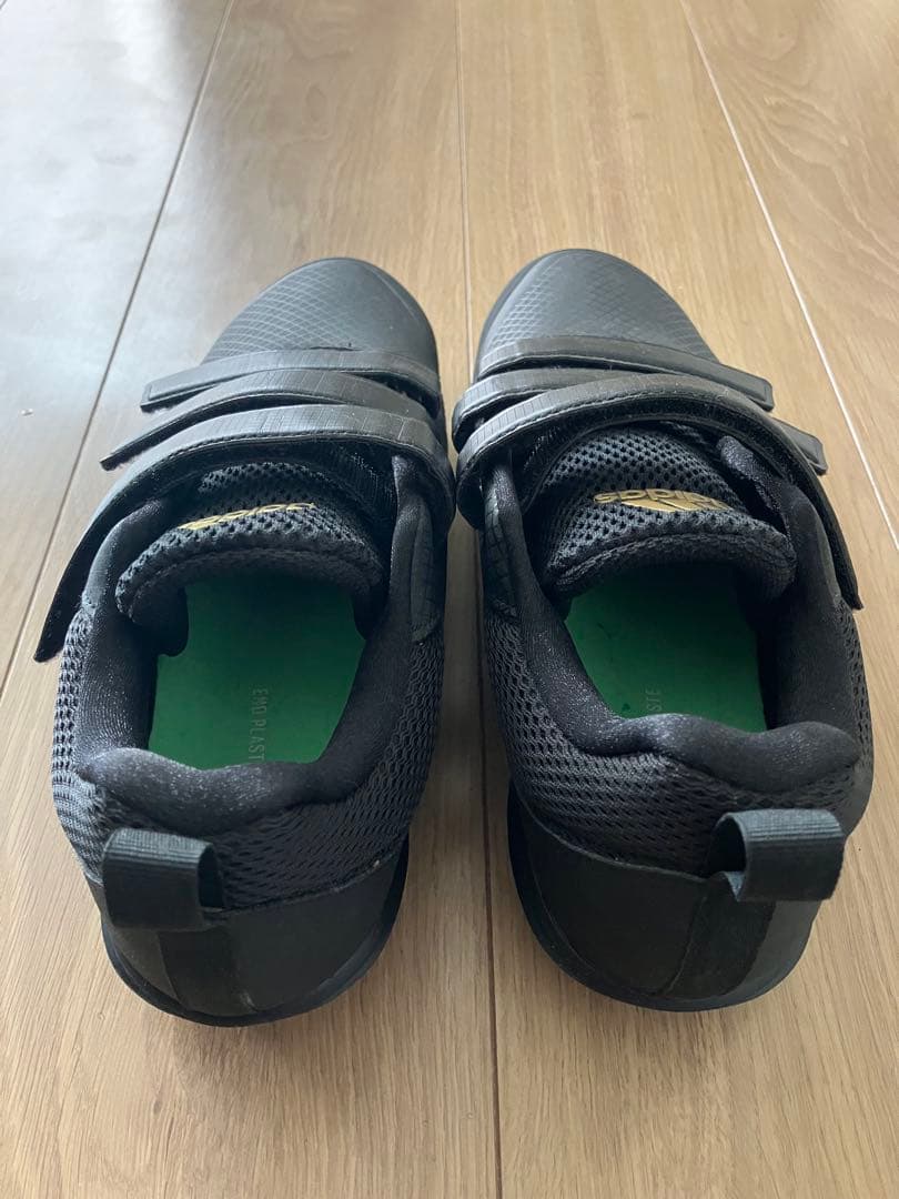 三田清晃【菖蒲】肉筆水彩画 直筆サイン 共シール