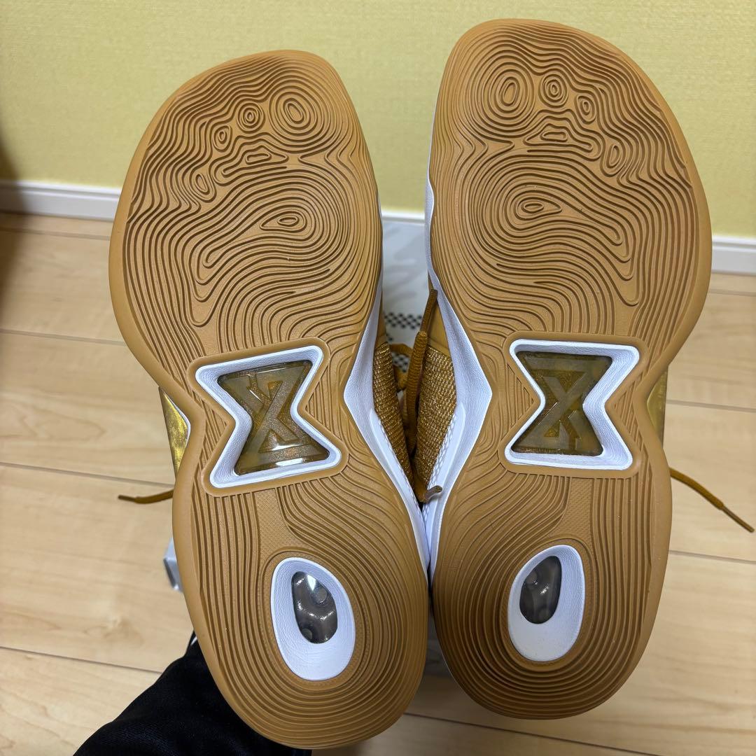 NIKE PG5 EP “LLIC GOLD/WHITE” 27.0cm