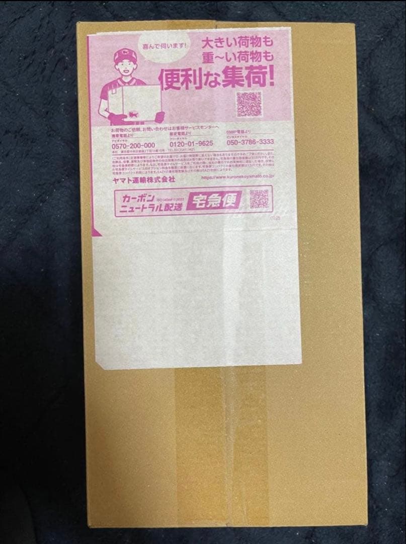 新品・未開封　ポケモンセンター　ヒロシマ　スペシャル1BOX ポケモンカードゲーム 9月発売予定 予約 新品未開封 スペシャルBOX