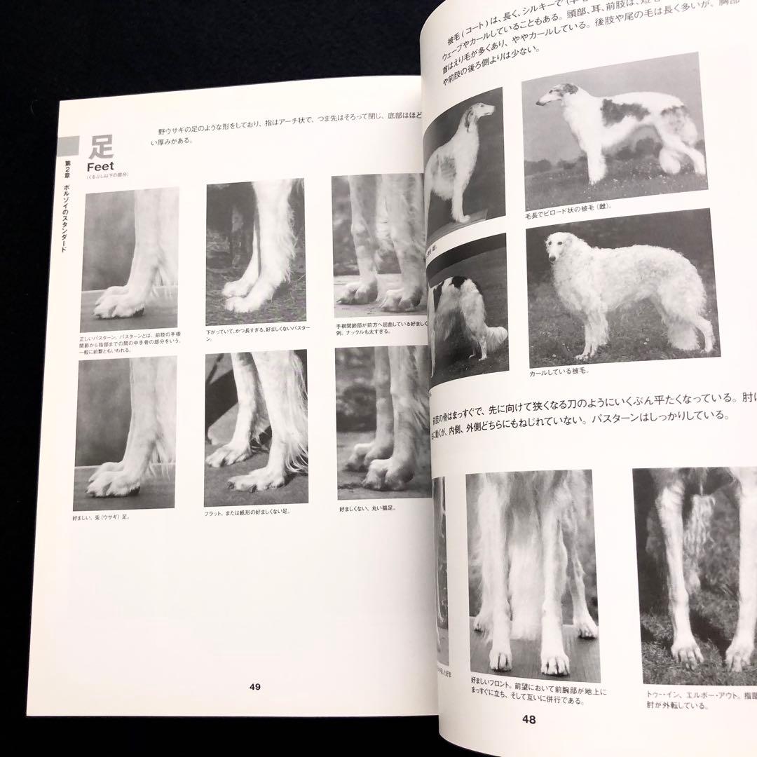 ボルゾイの事典 ― 性格、飼育、沿革、繁殖まですべてがわかる決定版