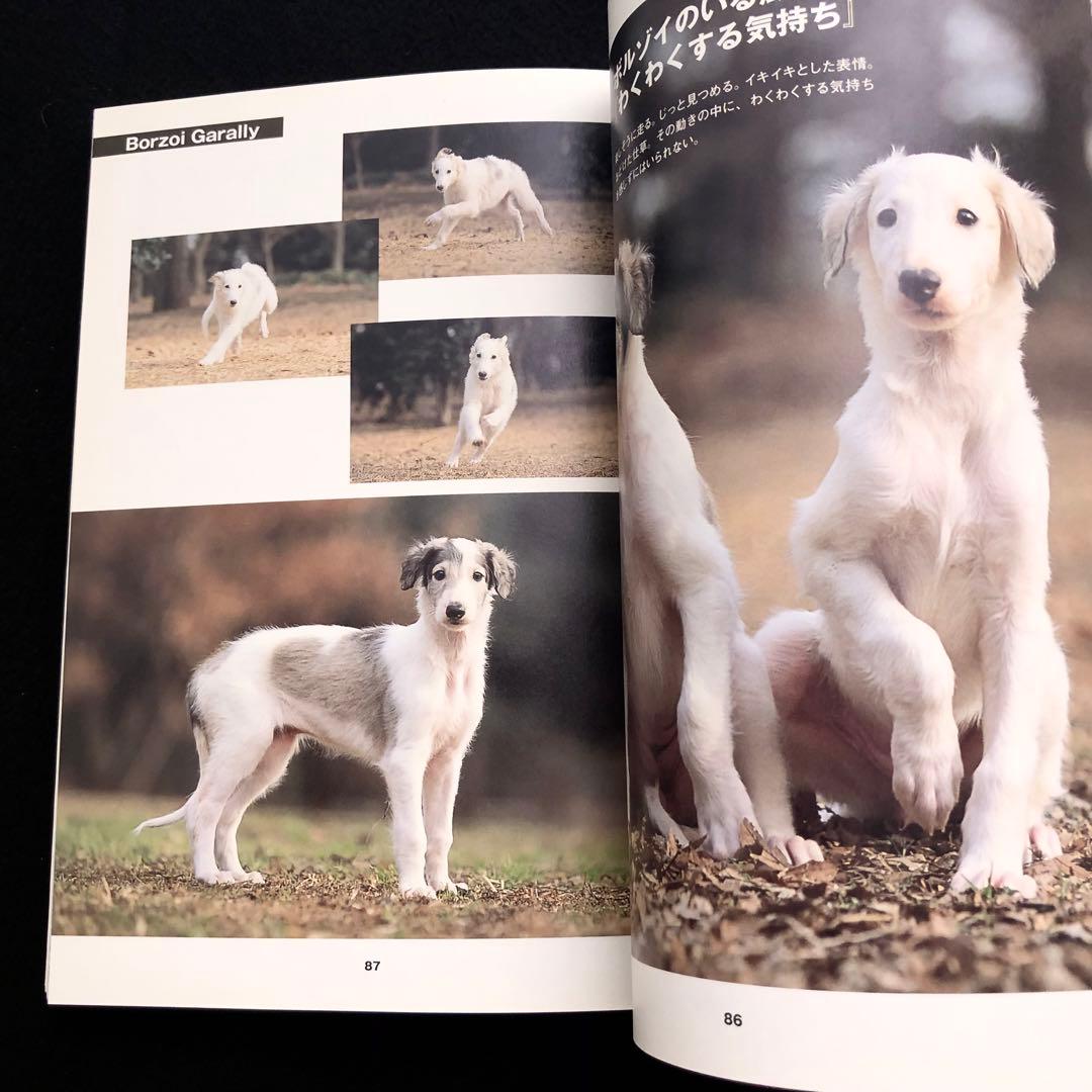 ボルゾイの事典 ― 性格、飼育、沿革、繁殖まですべてがわかる決定版