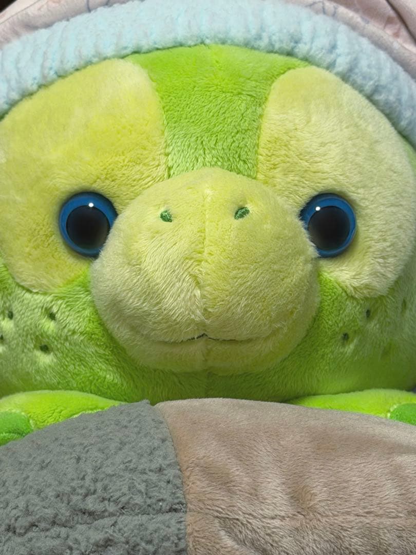 ディズニーシー フォールズサウンドインビテーション オルメル