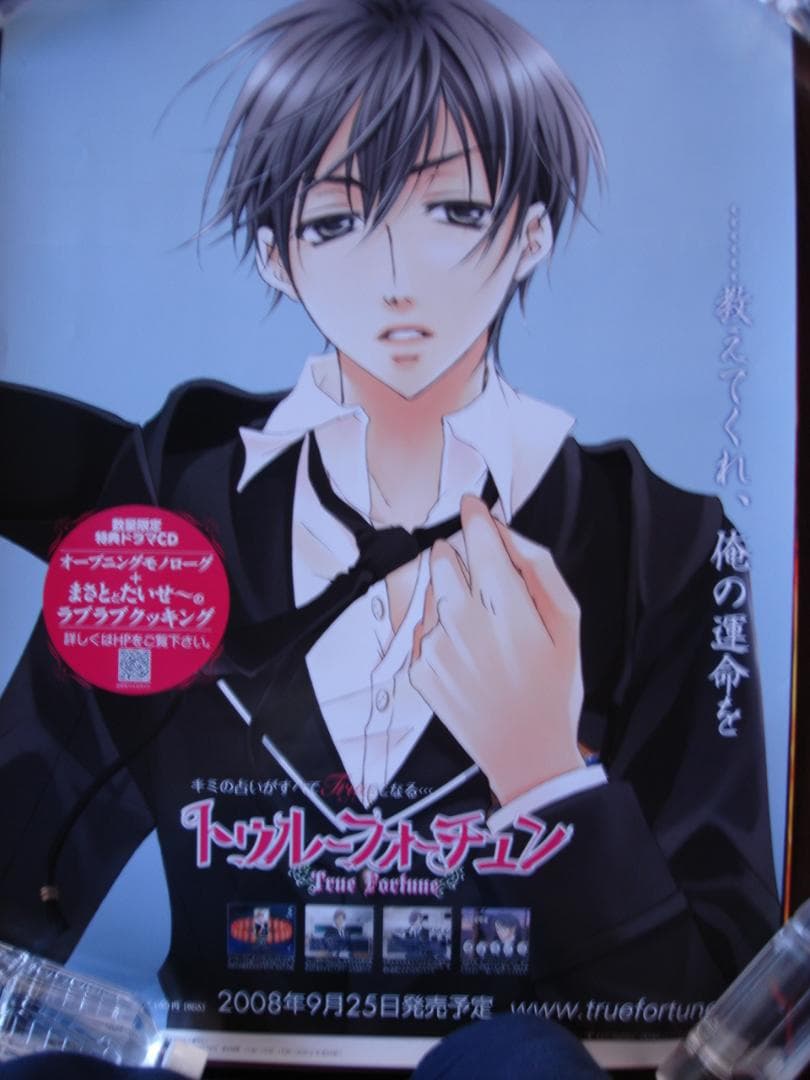 イケメンアニメキャラクターのソロポスター３０本●入手困難非売品B２サイズポスター グッズ-ポスター】Fate/Grand Order B2ポスター(エミヤ 霊衣:サマー