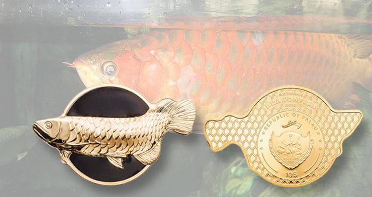 最高鑑定 PCGS-PR70 DCAM FDI パラオ アロワナ 2019 銀貨 - メルカリ