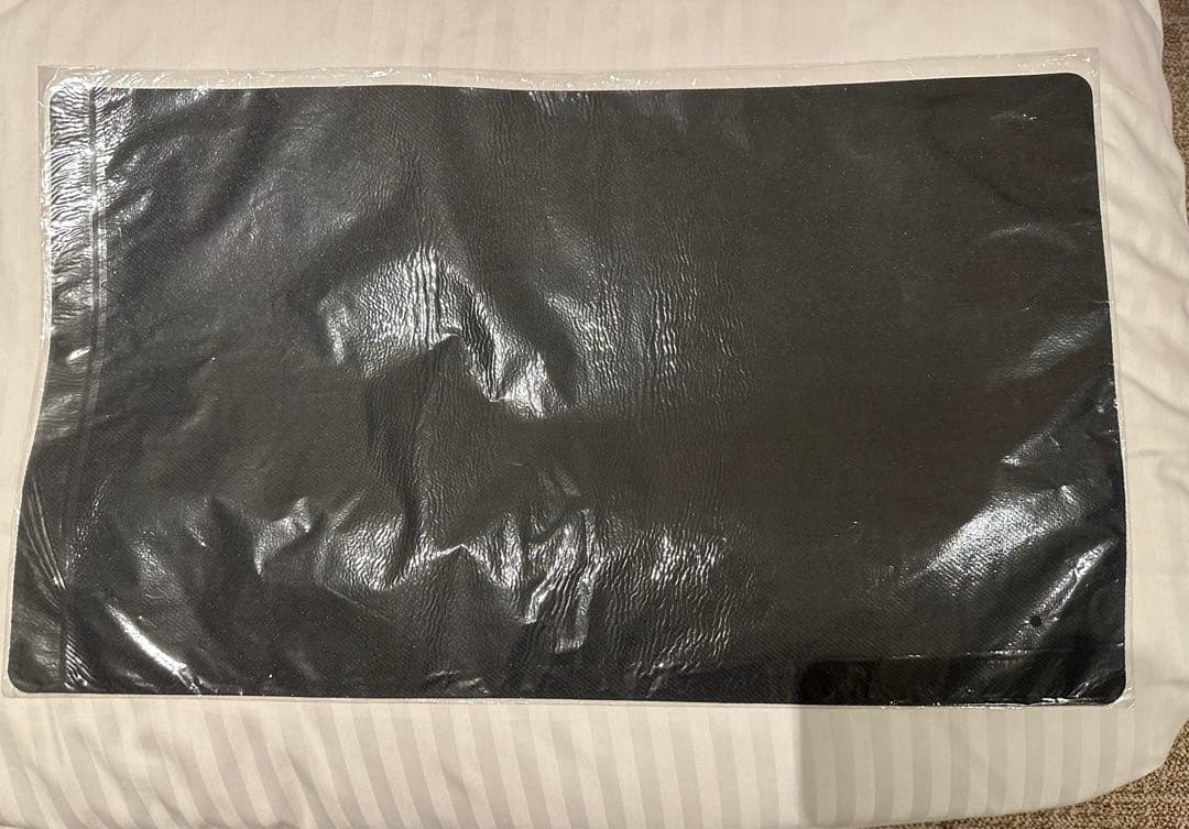 ポケセンカード WCS2023 横浜 サイドイベント 賞品 プレイマット