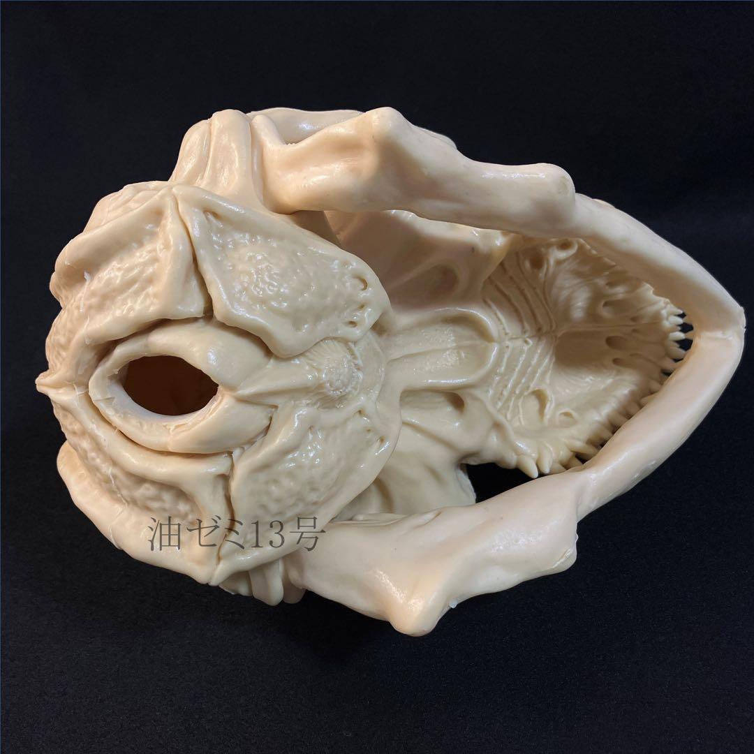 ゴジラスカル ゴジラスカル Godzilla skull ガレージキット 頭骨