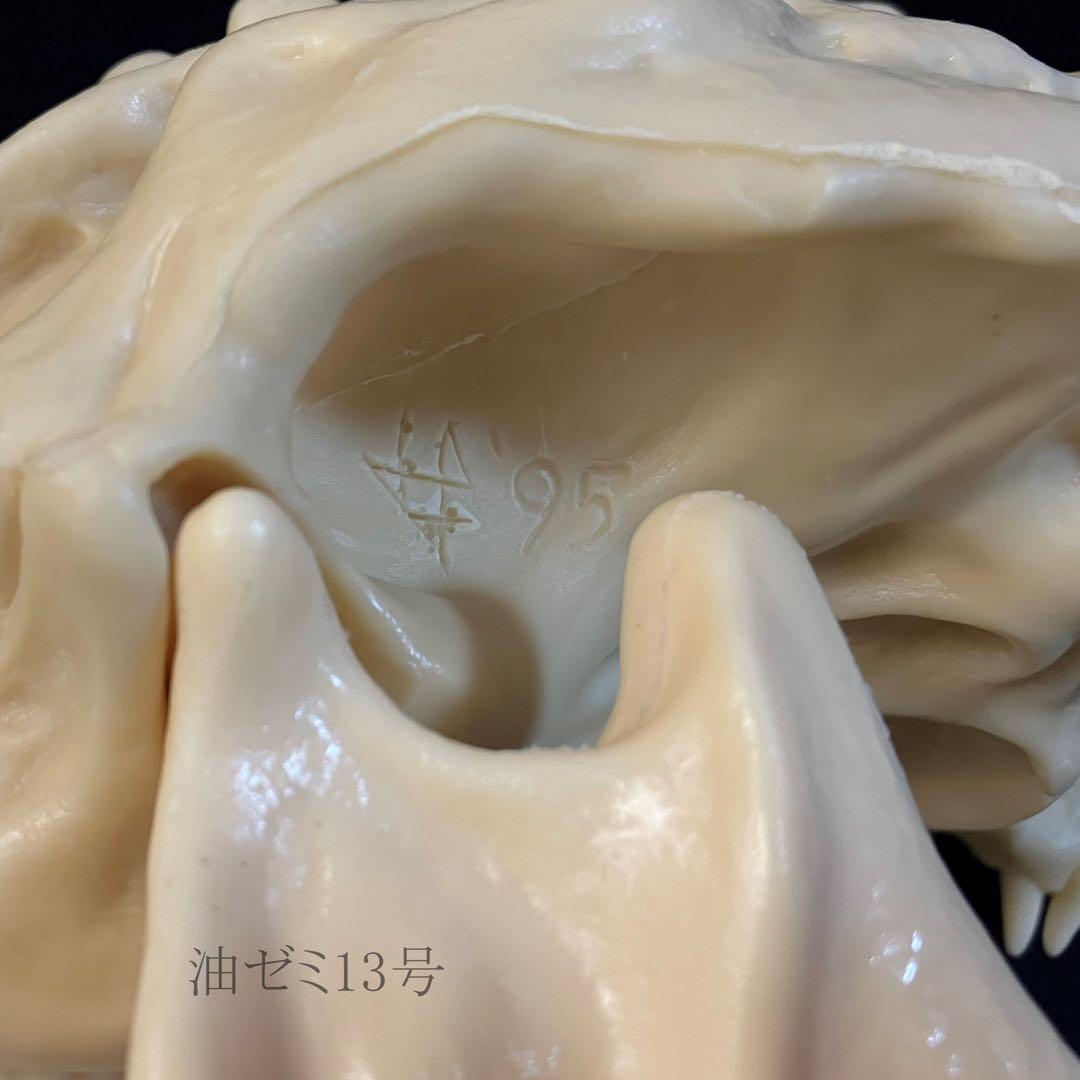 ゴジラスカル ゴジラスカル Godzilla skull ガレージキット 頭骨