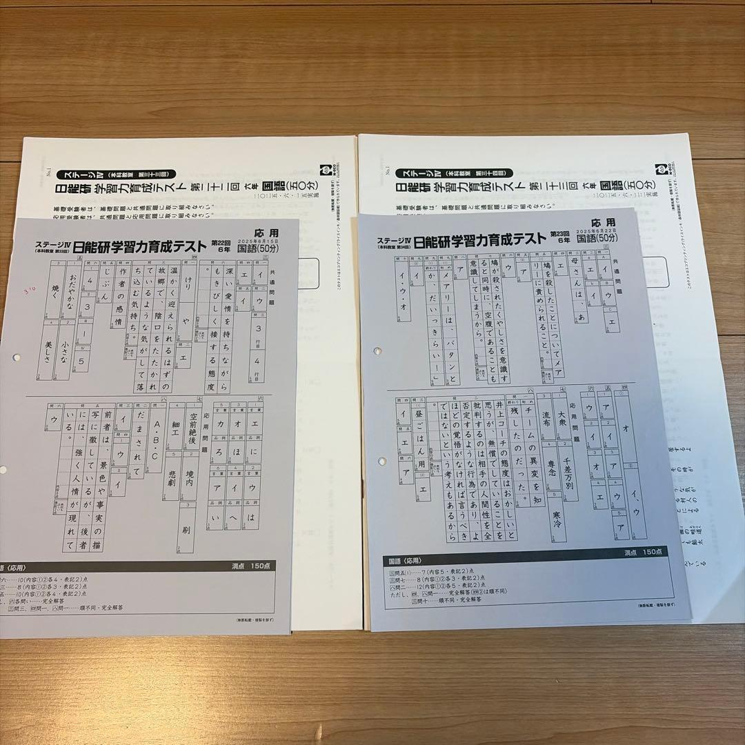 2025年度日能研6年前期学習力育成テスト17回分（第10回〜第26回