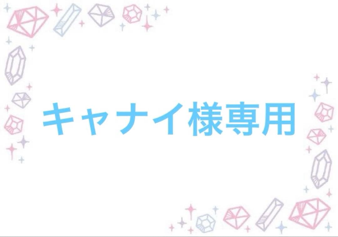 キャナイページ