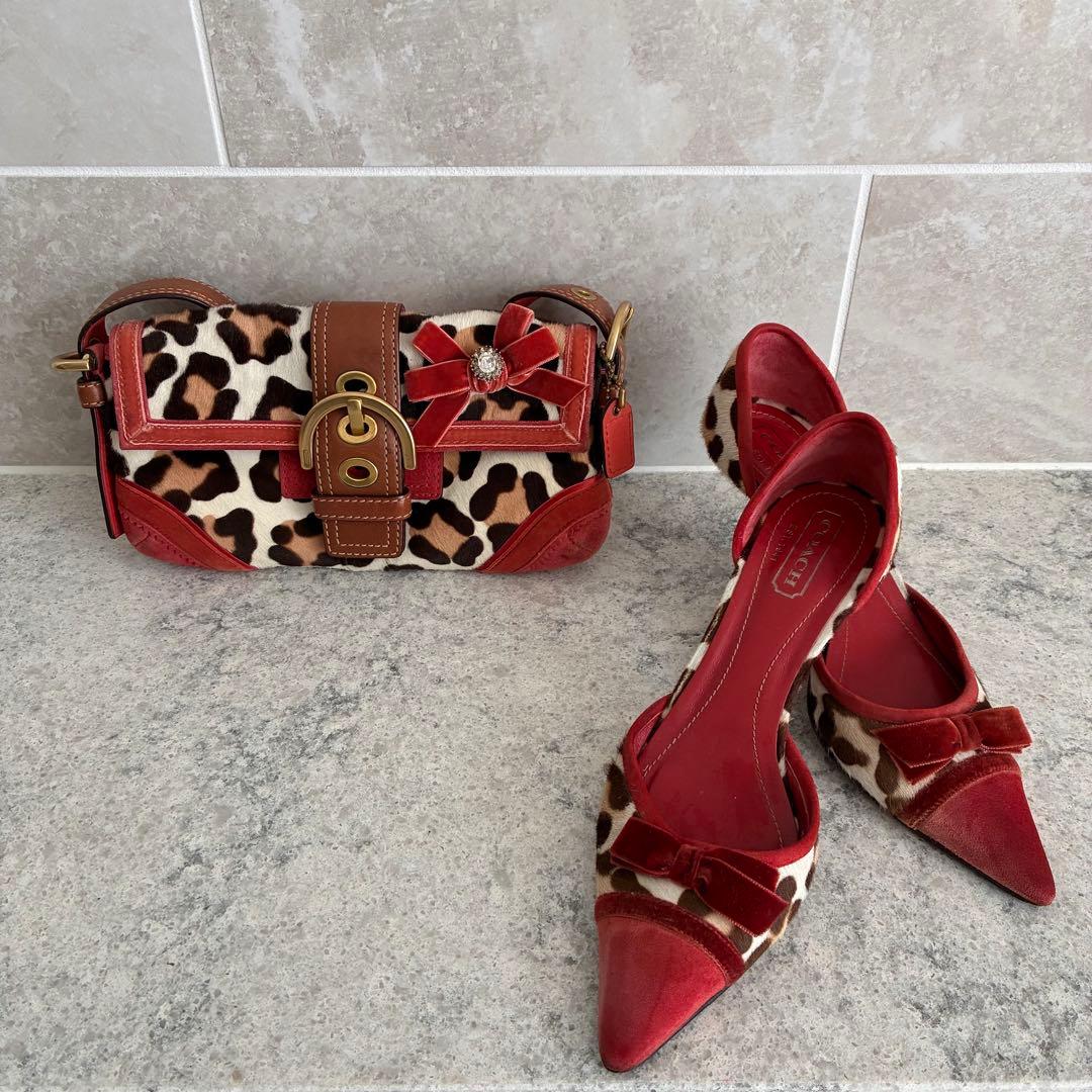 コーチ ヒョウ柄 パンプス バッグ セット