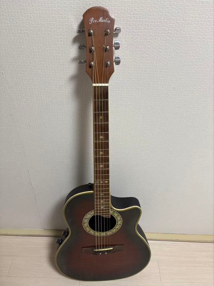 ProMartin EA350BS エレアコ