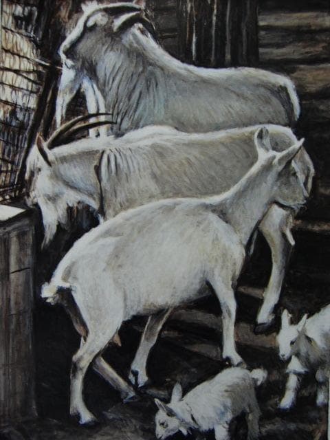 奈良岡正夫【朝ノ山羊】希少画集画、状態良好、新品高級額装付、送料