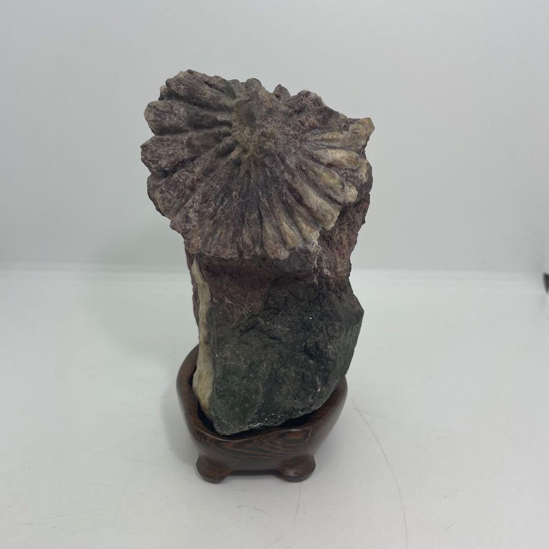 菊花石 置物 専用台付き 1,120ℊ