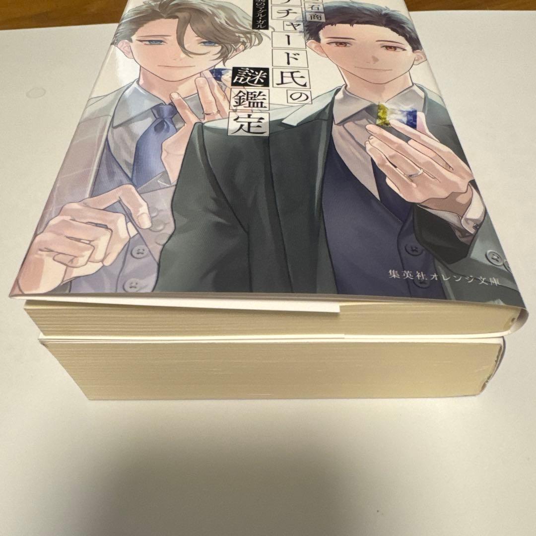 宝石商リチャード氏の謎鑑定 比翼のマグル・ガル セット 辻村七子さん