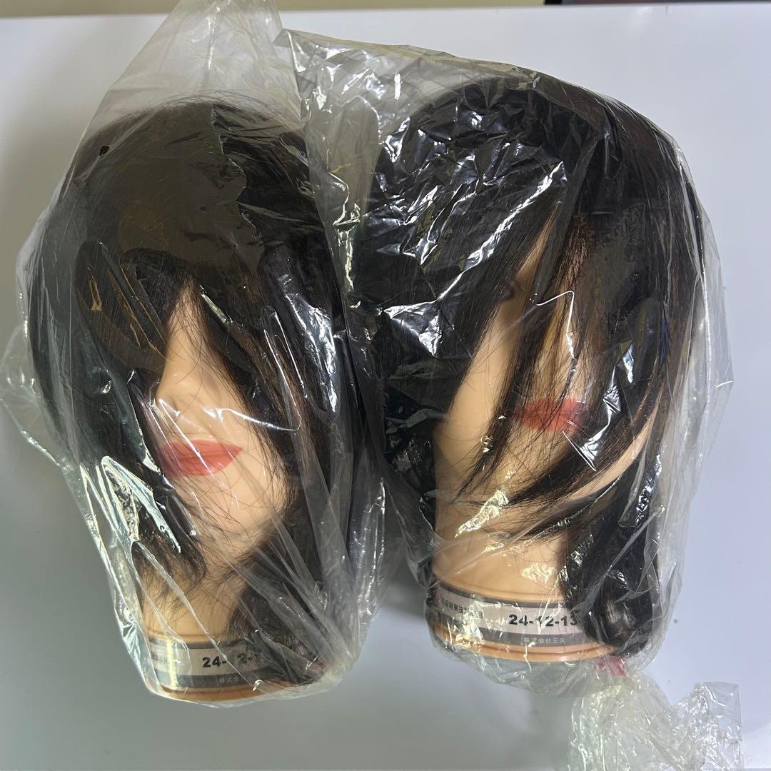 国家試験用ウィッグ