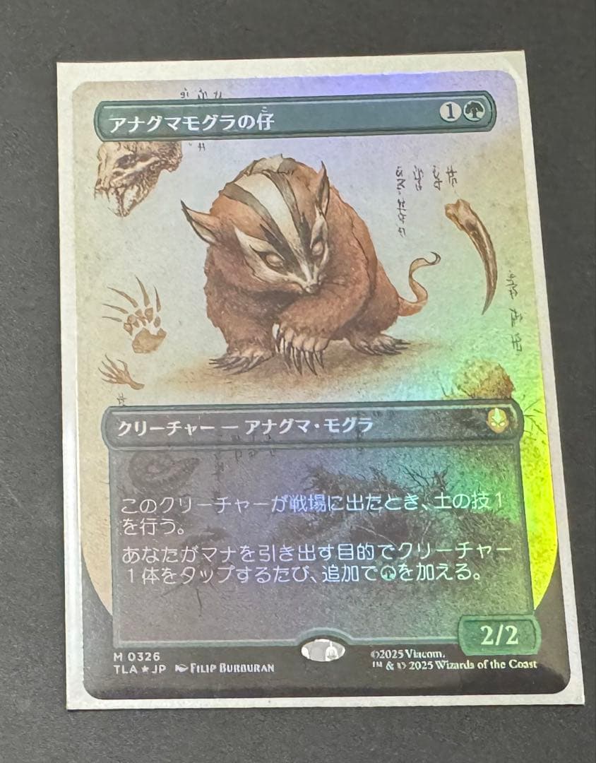 アナグマモグラの仔 foil mtg アナグマモグラの仔/Badgermole Cub《英語》【TLA】