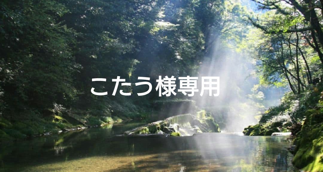 こたう✨特典付電磁波防止✨本物CMCペンダントUSA版2本お値引