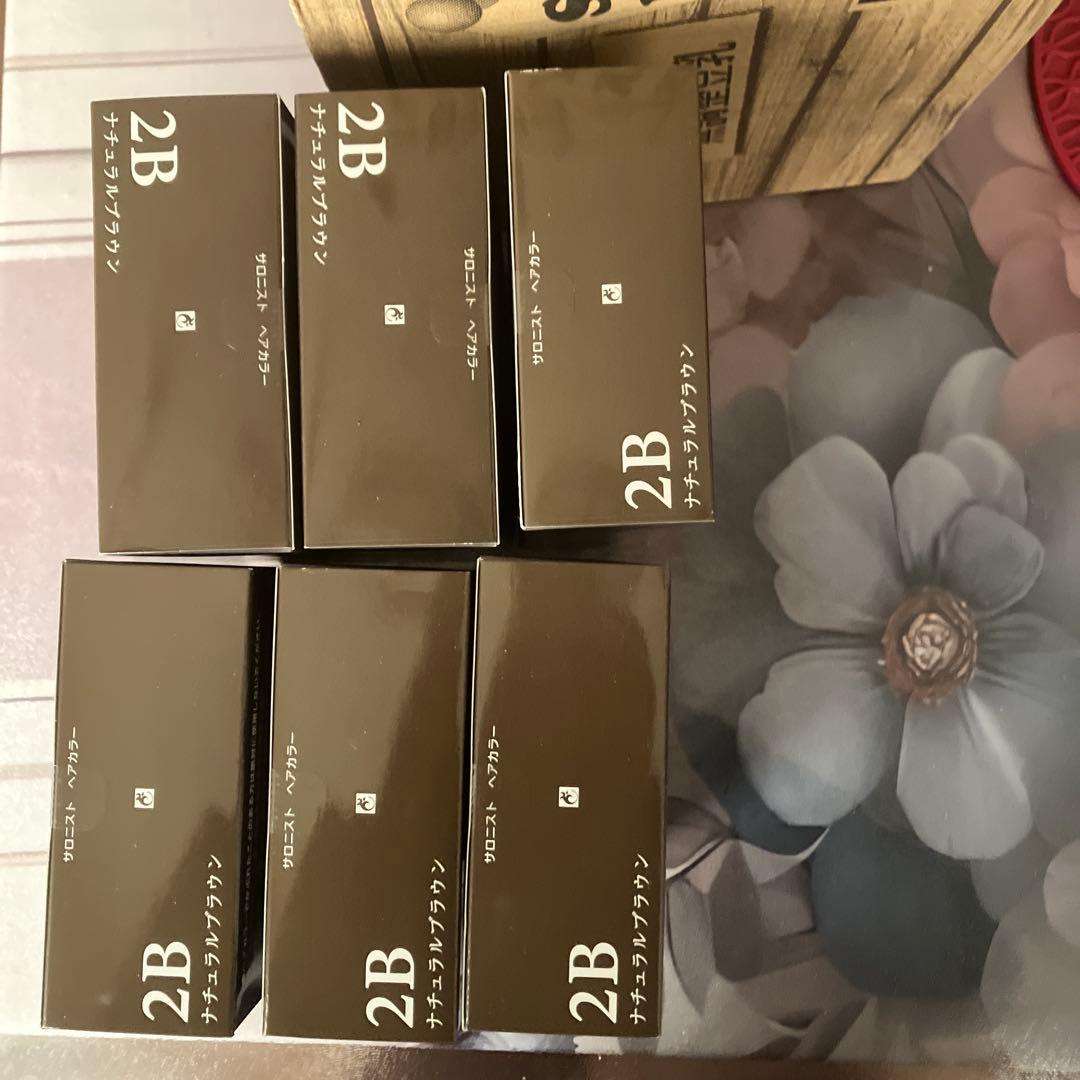 ecmer SALONIST HAIR COLOR 2B ナチュラルブラウン